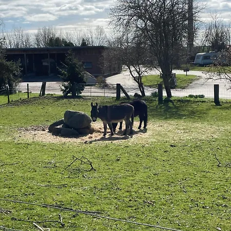 Beltblick アパート フェーマルン