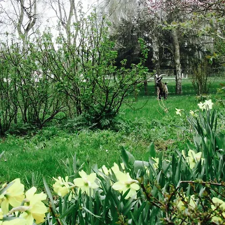 Beltblick フェーマルン