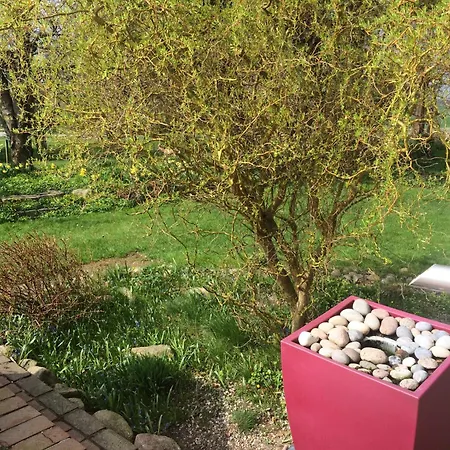 Beltblick アパート *