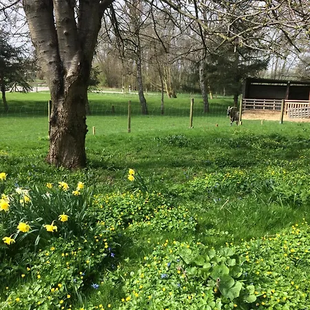 شقة Beltblick فيهمارن