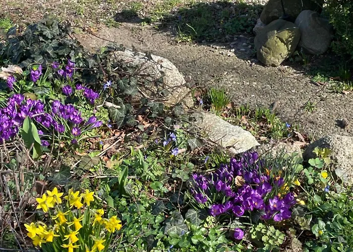 Beltblick Apartament