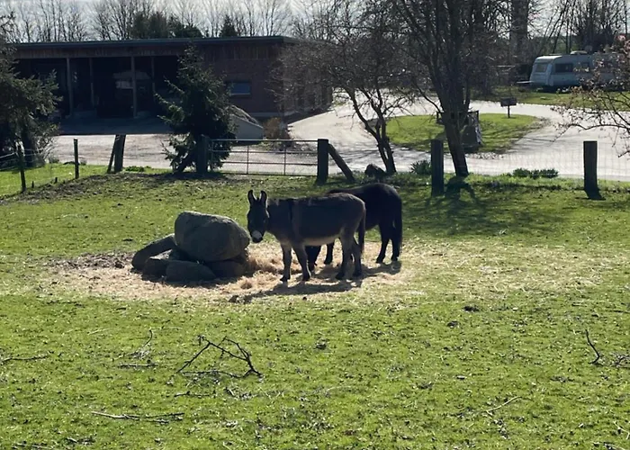 Beltblick Apartament Fehmarn