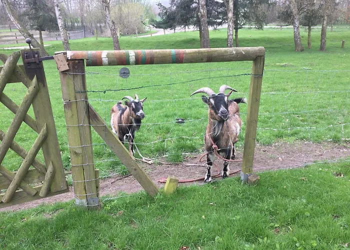 Apartament Beltblick *