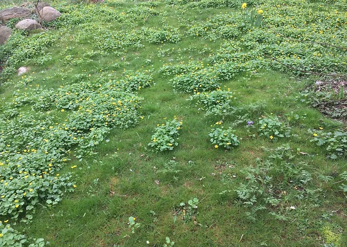 Beltblick Apartament